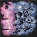 60x60 60Farben Storm Skull