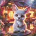 60x60 65Farben Relax Kangaroo