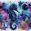 Galaxy SeaHorse 80x80 cm 226 Farben_RealPreview