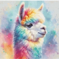 Rainbow Alpaka 60x40 cm 194 Farben