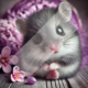Diamond Painting Bild „Sweet Mouse“