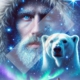 Diamond Painting Bild „View of the polar night“