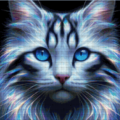 Wonderfull Cat 80x80 128 Farben